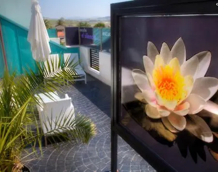 Hotel Playa Ribera 3*