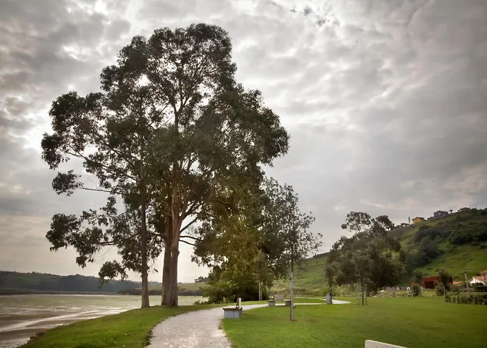 ホテル Playa Ribera